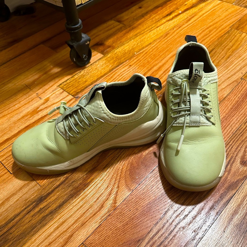 Sage Clove Classic Sneakers